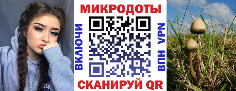 дарнет шоп Алапаевск Галлюциногенные грибы Psilocybine cubensis